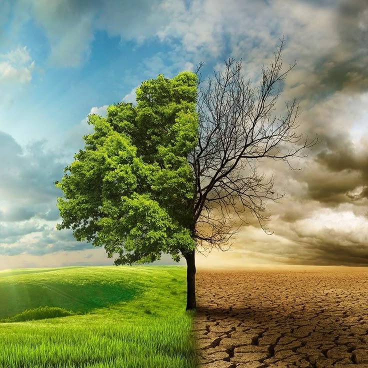 Globaler Klimawandel 2025